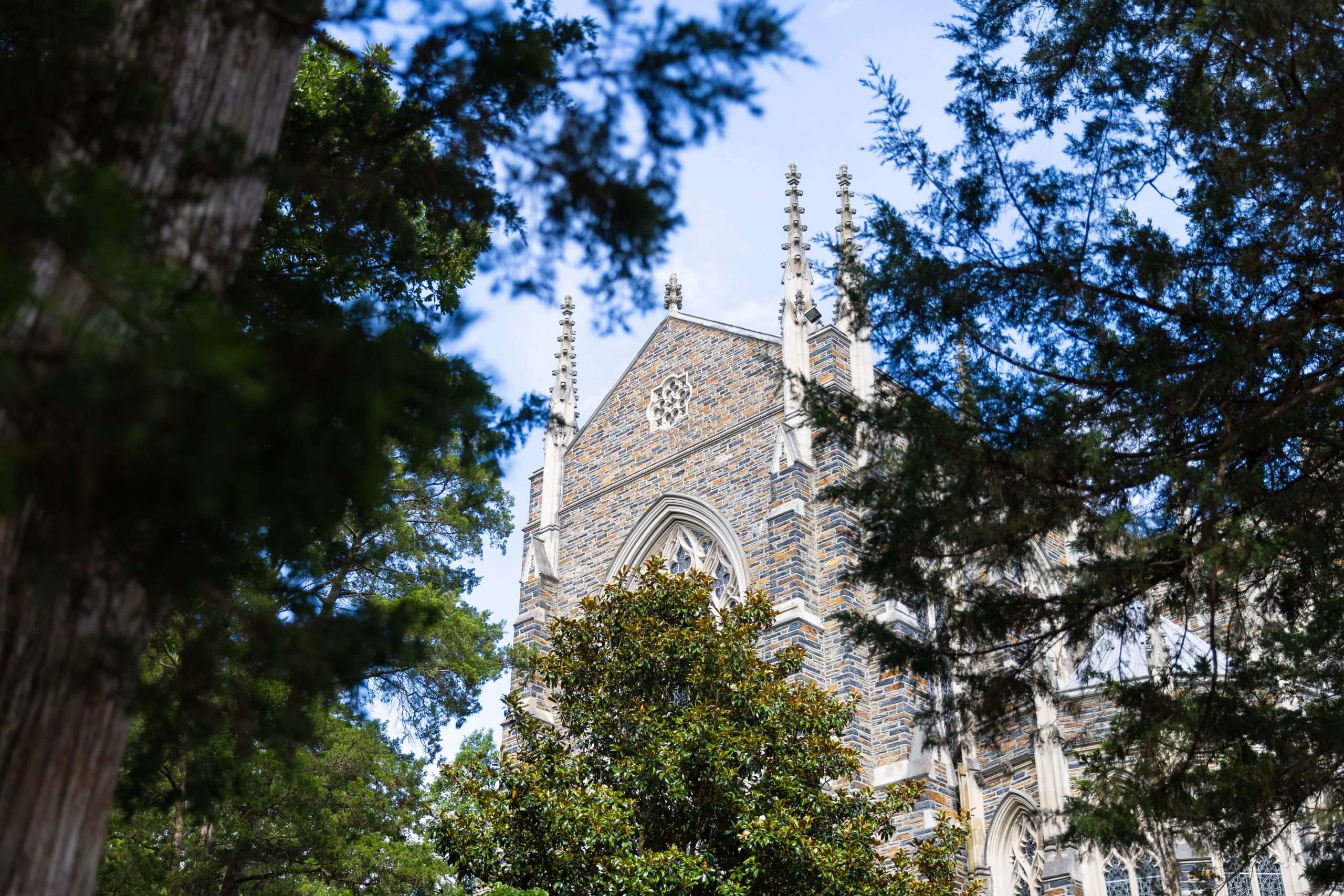 Duke Chapel is featured at Duke University beyond the trees.