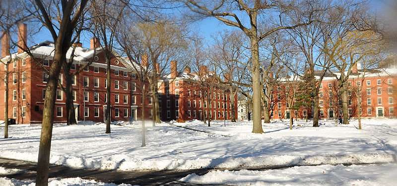 Harvard University's Harvard Yard is featured after a snowfall.