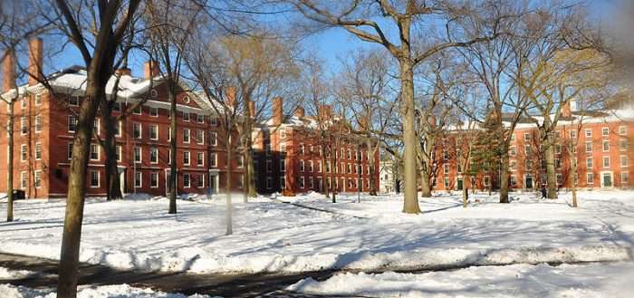 Harvard Yard is covered in snow.