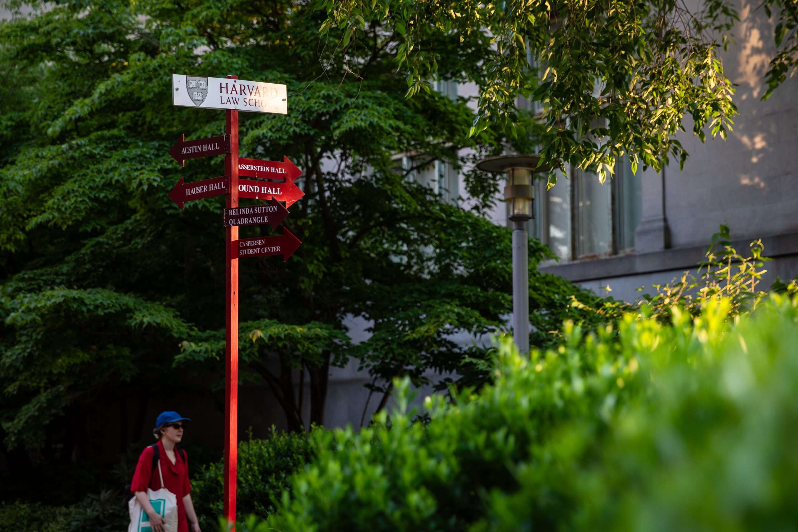A person walks by a street sign pointing to Harvard Law School.