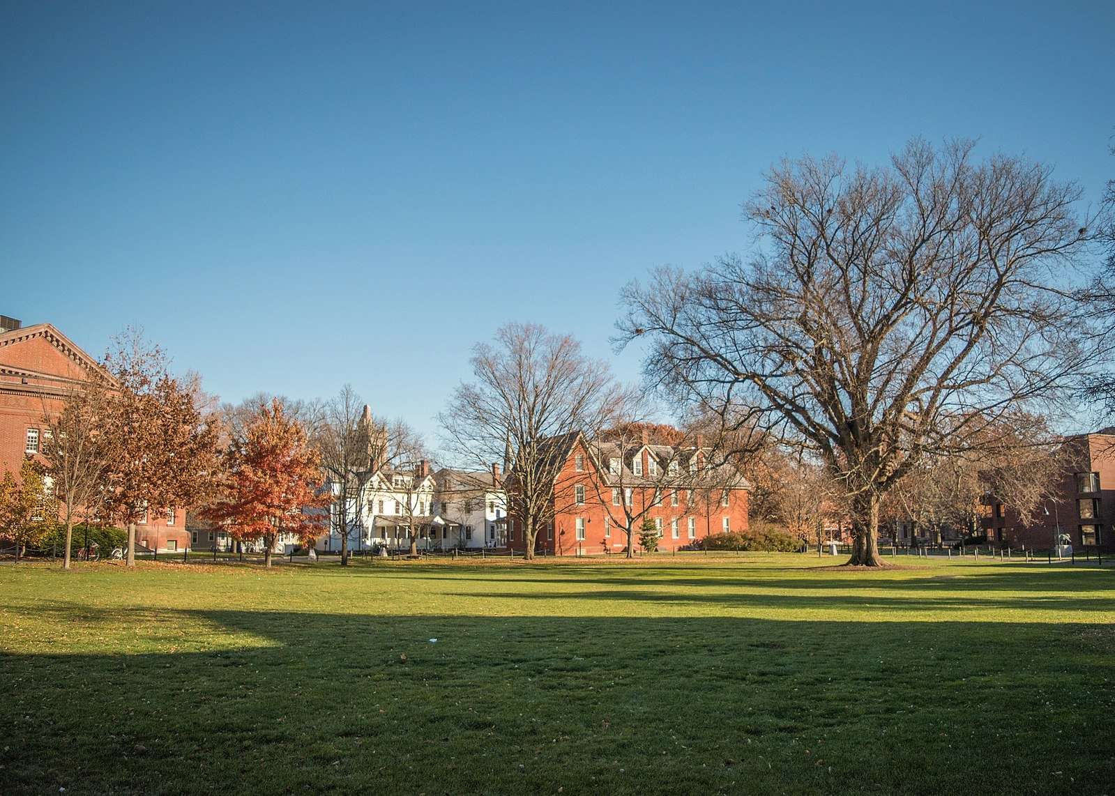 A campus quad is featured under a blue sky.