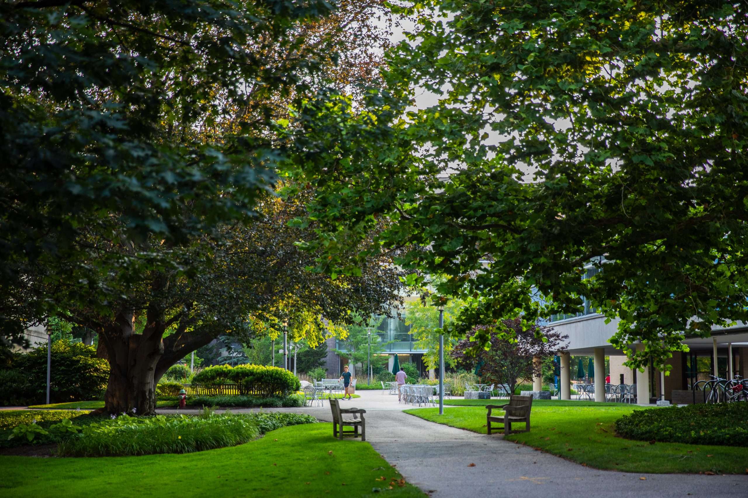 A lush lawn with empty benches is pictured in the foreground of a contemporary campus facility.
