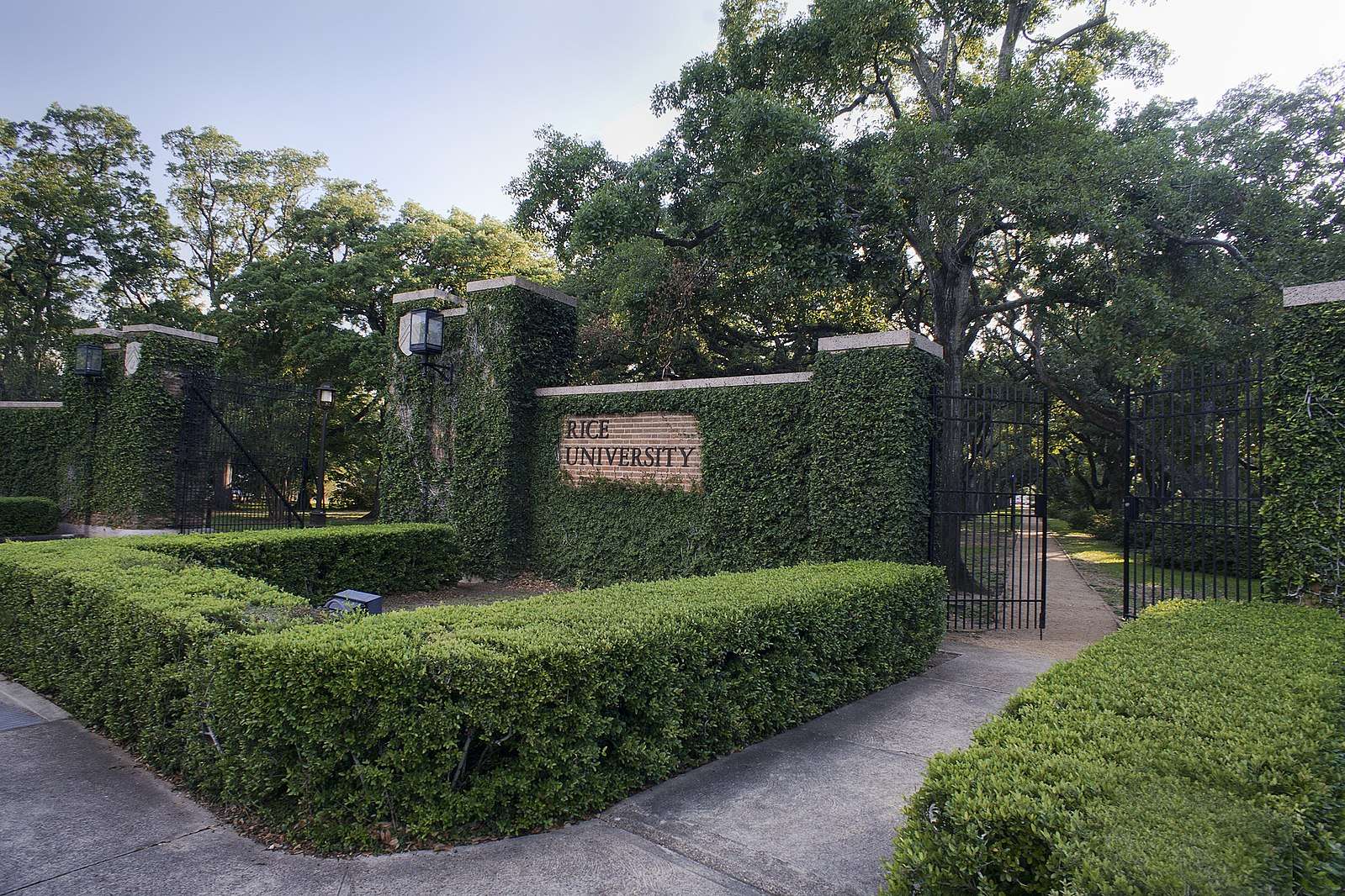 The greenery surrounding the entrance to Rice University is featured.