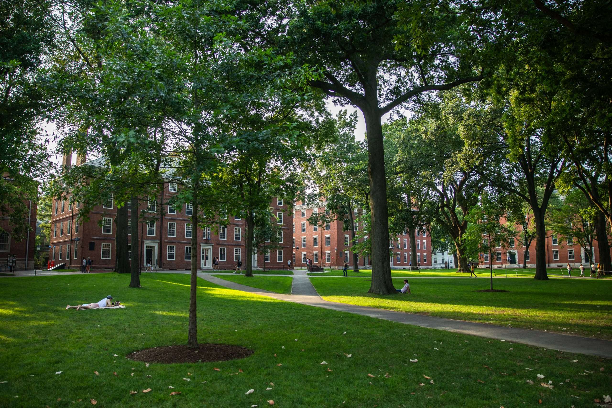 A student lays on Harvard Yard on a sunny day.