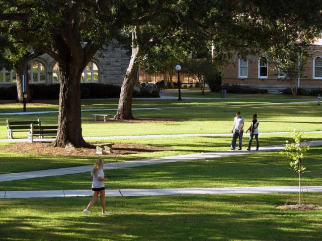 Tulane's lawn is dappled in sunlight.