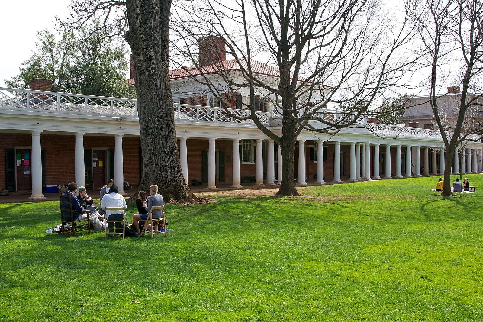 Students sit in chairs on a lawn outside a columned building at the University of Virginia.