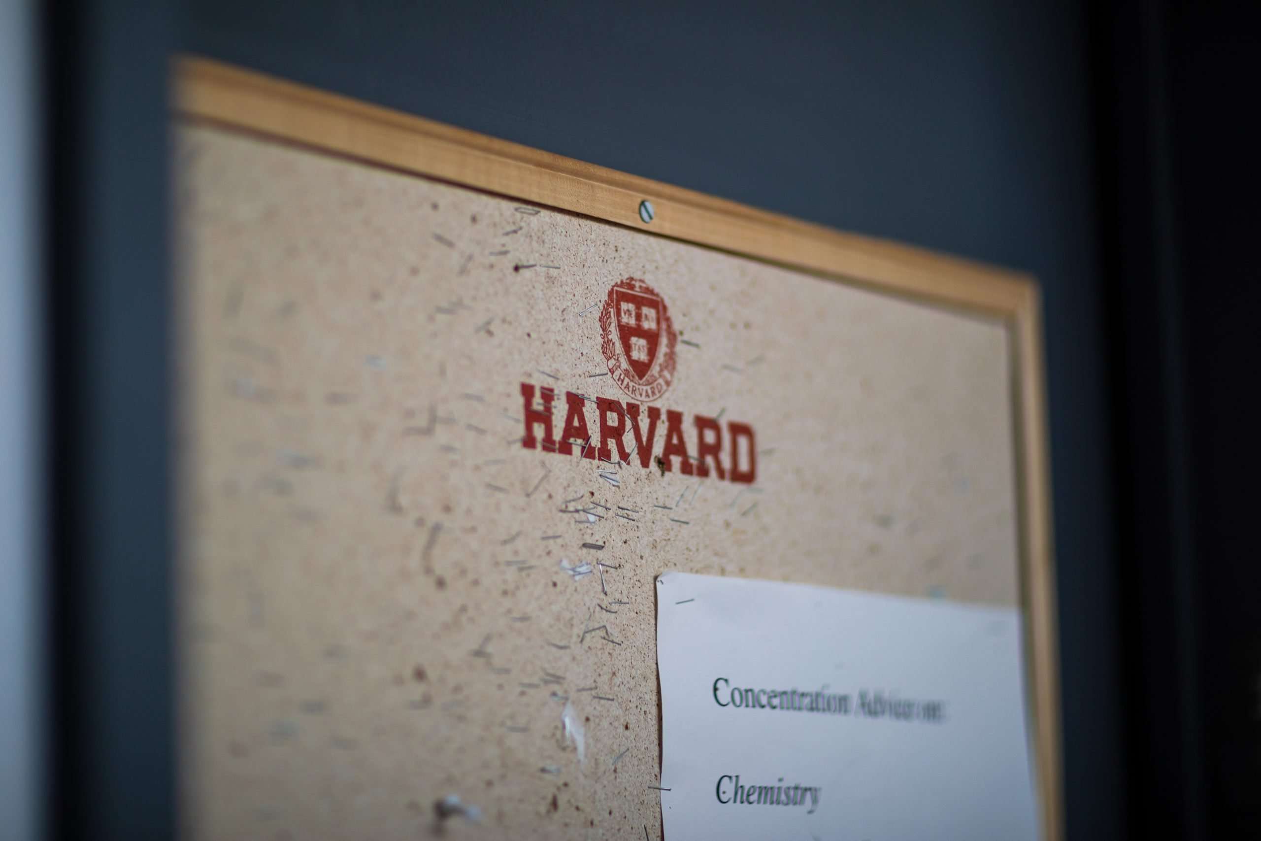 A closeup shot of a Harvard University bulletin board peppered with staples.