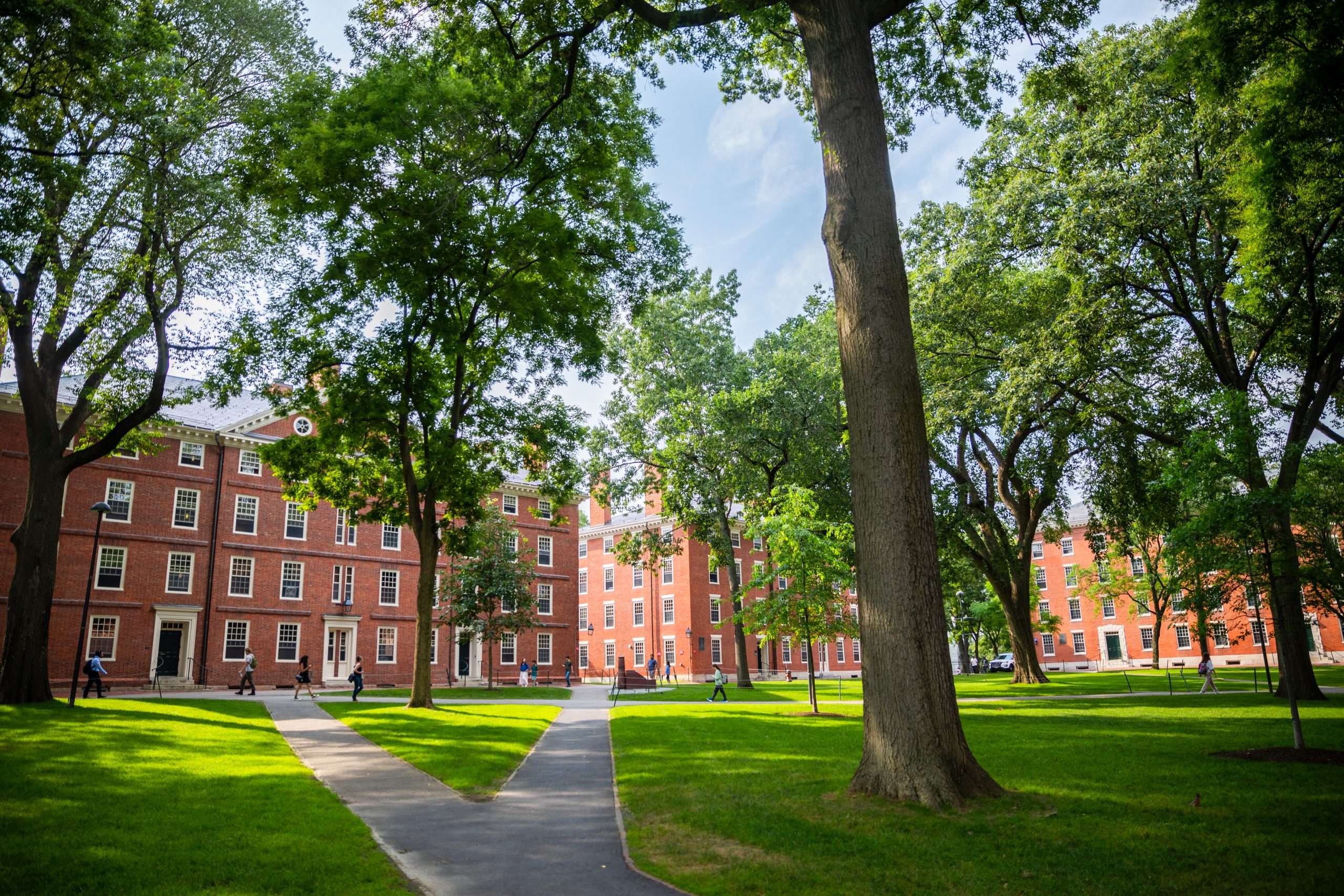 Harvard Yard is featured under a blue sky.