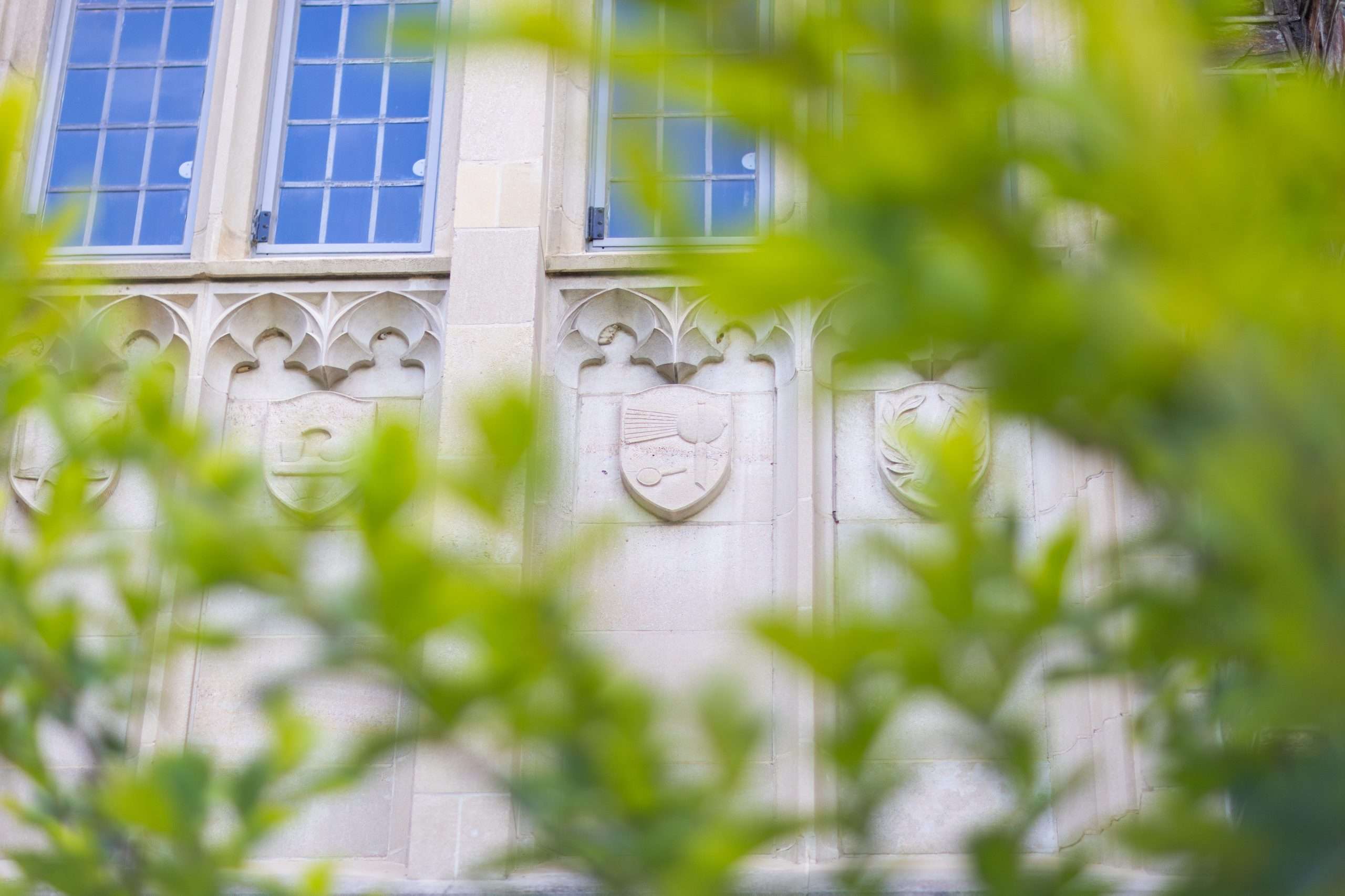 Duke University's gothic architecture is visible behind the leaves of a tree.