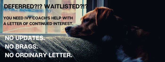 A dog looks out a window with overlayed text that reads: "Deferred?!? Waitlisted?!? You need Ivy Coach's help with a Letter of Continued Interest. No updates. No brags. No ordinary letter."