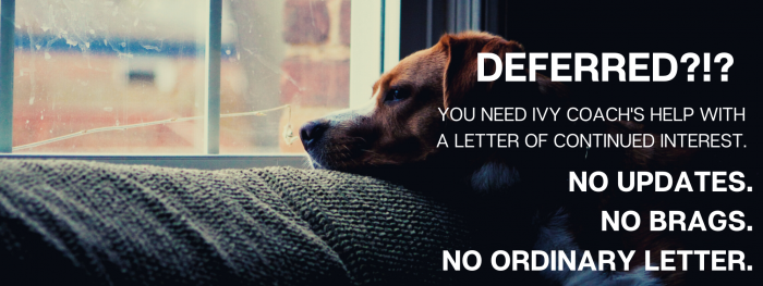 A dog looks out a window with overlayed text that reads: "Deferred?!? You need Ivy Coach's help with a Letter of Continued Interest. No updates. No brags. No ordinary letter."